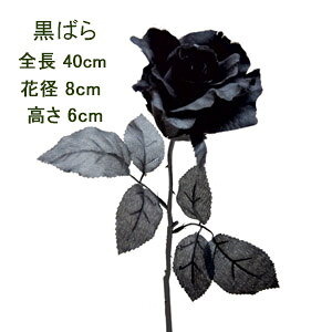 ΂yԁzԌa8m S40cm o 6722-BK