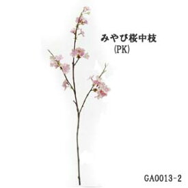 楽天市場 桜 枝の通販