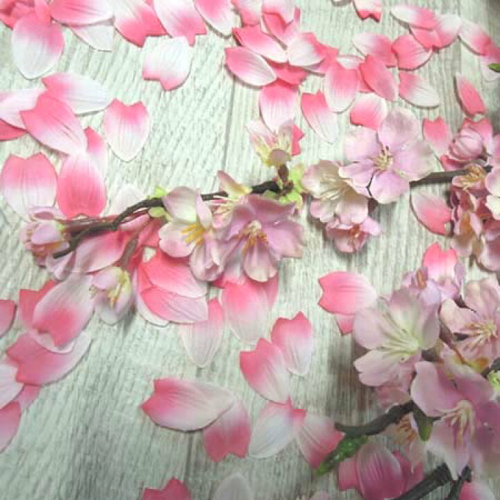 楽天市場】桜ペタル【春造花 花びら】桜の花びら(約470〜480枚) 約10g 
