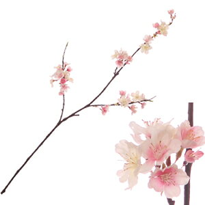 [c킸]}(CRPK)yt̑ԁz(S80cm) R}(Ԍa1`4cm) VE-6449-CRPK