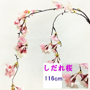 ŒZo 2{}(CRPK)yt̑ԁz S116cm 2{}(CRPK) Ԍa1`4cm(蕔38`60cm )VE-6639