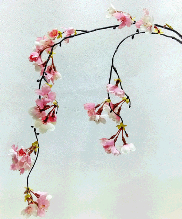 楽天市場】最短出荷 しだれ桜2本枝(CRPK)【春の造花】 全長約