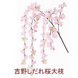 [o c͂]S150cmg삵} (5{}EŒ60cm3{t) (Ԍa5cm)@fls5337