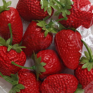 ŒZo y ̎zHit[cTv Xgx[12(召e6) F4041-v23035