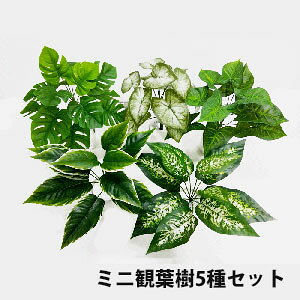 y~jϗtztFCNO[ ~jϗt5Zbg VEA-5600