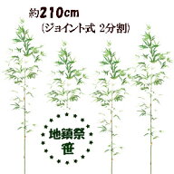 *【最短出荷 210cm 地鎮祭用笹】4本組(ジョイント式 2分割)(北海道・沖縄発送不可)3442119-210-4