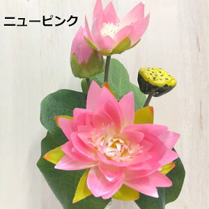 [o][^XubV(j[sN)S40cm Ԍa10~14cm 2215-newpk