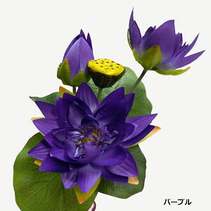 [o][^XubV(p[v)S40cm Ԍa10~14cm 2215-pu