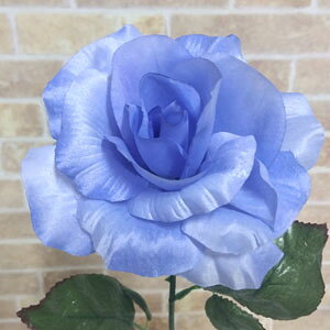 Cgu[y zS55cmuTe[Y1{v (Ԍa11cm 7cm)134LTBL