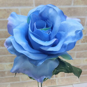 ΂y zS45cm uTe[Yv1{(u[[Y)(Ԍa10m 6cm)3071-bl