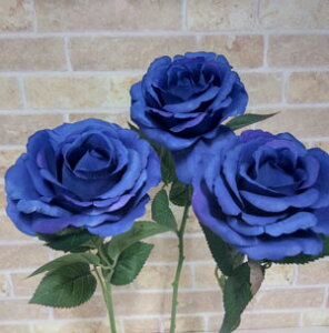 ΂yԁzS43cm uLxbW[Y1{v_[Nu[J[ (Ԍa9.5m 5.5cm)300-dkbl