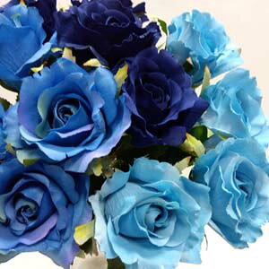 o ΂yԁzԌa8m S40cm o 6722