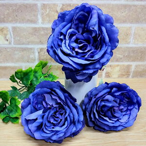 [o ݌Ɍ]S20cm (u[p[v)[YsbN 1{yI[V[Yԍ ԁzLxbW[YsbN (u[p[v) Ԍa11cm*7cm 341-31455-9P