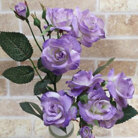 楽天市場 ミニバラの通販