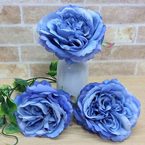 [o ݌Ɍ]S20cm (u[)[YsbN 1{yI[V[Yԍ ԁzLxbW[YsbN (u[) Ԍa11cm*7cm 341-31455-9