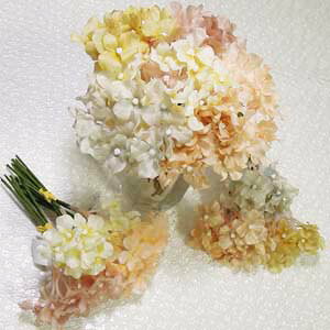 HFsbNyԁz6{g nChWA()oh S15cm Ԍa2.5cm E3597*