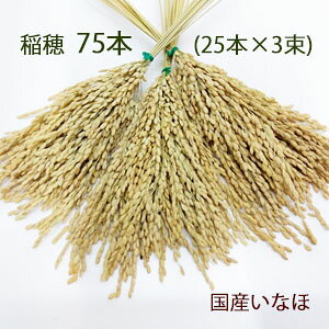 ŒZoׁEhC75{yߓꎑށzS32cm hC(25{g×3) 1375-N-3E9675-N-3