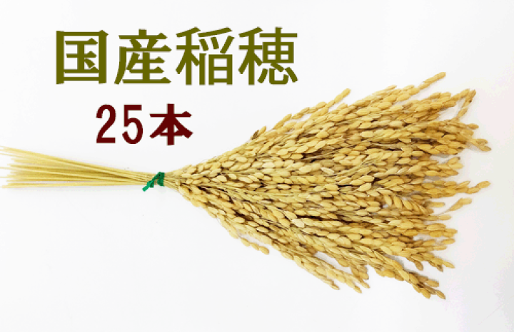 稲藁　稲穂 楽天市場】稲穂 藁の通販