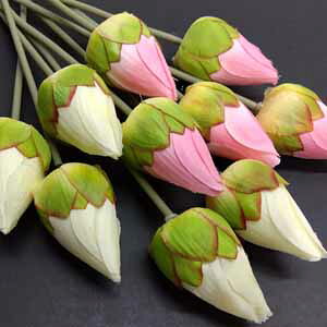[o]@(@̃c{~) 10{set (2Fe5{~bNX)S35cm 6cm 2369-10