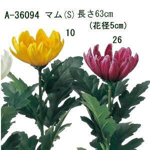 [o] S63cm }(S) Ԍa5cm (YEEtbV)1{ y } ez A-36094