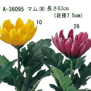 [o]A[eBtBVt[yԁ@} ez1{ }(M)S63cm Ԍa7.5cm A-36095