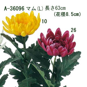 [o] S63cm }(L) 1{ Ԍa8.5cmy } ez A-36096