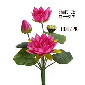 nX̉ ZsN 3֕t[^XubV()HOTPK (S39cm Ԍa9`14cm)F3459-52