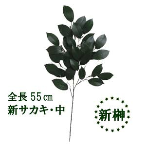 S55cm (H) 1{ V 1{ _Ip(H)͂Ȃ344509 3445