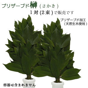 [ŒZo] 12,900~ sv vU[uh(12ܓ) _Ip vU[uhTJL(؂vU[uhH)144109 41400