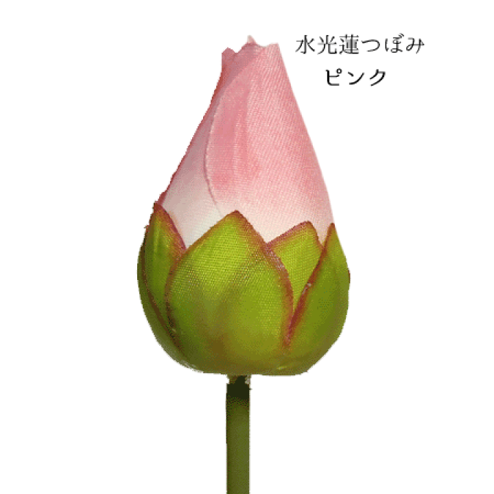 楽天市場 造花 ハス 水光蓮つぼみ 蓮の花 1本売 全長約35cm 高さ約6cm 2369 造花の店ａｚｕｍａ