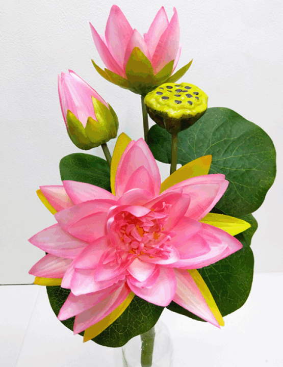楽天市場】ハスの花 ピンク3輪付ロータスブッシュ(束)PK (全長約