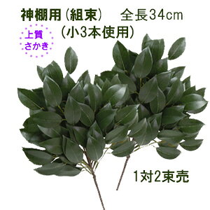 12 S34cm㎿(gH) (3{gp) ㎿gTJL  _Ip(DX^Cv)AZ-SA-DXS 0048-3-2