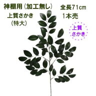 *[最短出荷 特大サカキ]枯れない榊 造花 神様用 全長約71cm 上質大サカキ 1本売 3307