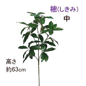 [ŒZo]()S63cm(H)w1{xS63cm ()̂܂܂̏ 408003-1