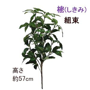 [ŒZo11ב҂]S57cm (ƒe1{gp)gсw1xS57cm g()2{g AZ-SI-M 4158-1 4080-1