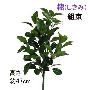 [ב҂ 12] S47cm(2{gp)g݁w1xS47cm ()S 2{g (2{gp)őgAZ-SI-S 4158*