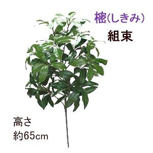 [ŒZo]S65cm(2{gp)gсw1xS65cm g()L 2{gAZ-SI-L 4080-2-1