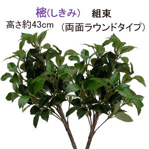 [ב҂ 12] S43cm gсwEgp1Δx(3gp)ʃ^Cv(Eh) S43cm g()S 3{gAZ-SI-S 4158-3-2