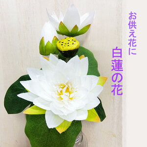 [�����o��]���[�^�X�u�b�V��(�j���[�z���C�g)�S��40cm �Ԍa10~14cm 2215-w