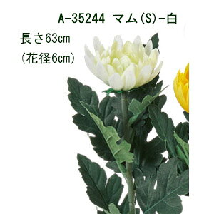 [o] S63cm }(S) Ԍa6cm (zCg)1{ y } ezA-35244-001