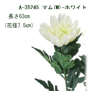 [o] S63cm }(M) Ԍa7.5cm (zCg)1{ y } ezA-35245-001
