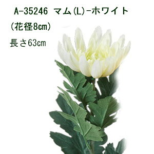 [o] S63cm }(L) Ԍa8cm (zCg)1{ y } ezA-35246-001