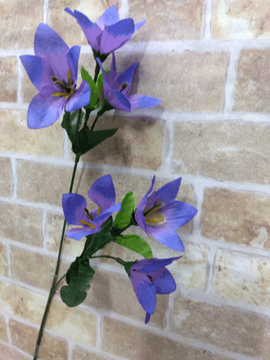 楽天市場】ききょう(ブルー) 【造花】全長56cm 6輪付キキョウ 3740