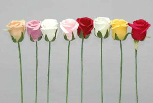 �S��21cm �Ԍa��4.5cm�y���[�Y�s�b�N(S)���[�t�����z�A�X�J A-31279*