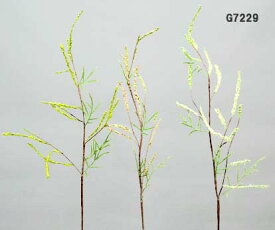 楽天市場 枝物の通販