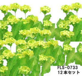 楽天市場 菜の花 花 観葉植物 花 ガーデン Diy の通販