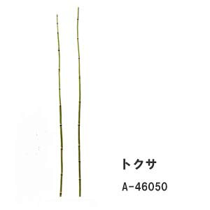 [o]O[y gNTz1{ S64cm gNT(S) A-46050