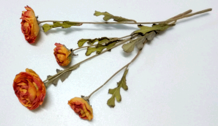 楽天市場】ドライフラワー風【造花】ラナンキュラス 2輪付