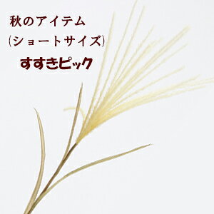 yH̑ԁzV[gXXLsbN(BEIGE) 50cm (䒷21`22cm)23126-13