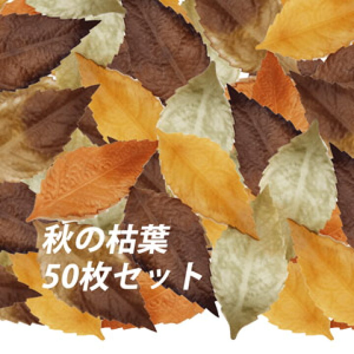 楽天市場】[即日出荷] 落ち葉【秋の装飾品】枯葉リーフ ミックス 50枚  